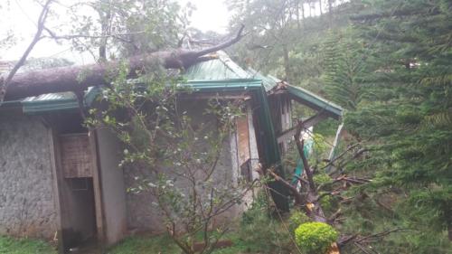 2020 11 typhoon damage at PNC